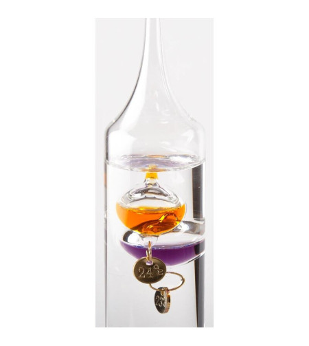 AstroMedia Weather station The Galileo Thermometer