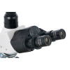 Levenhuk D900T Digital Trinocular Microscope