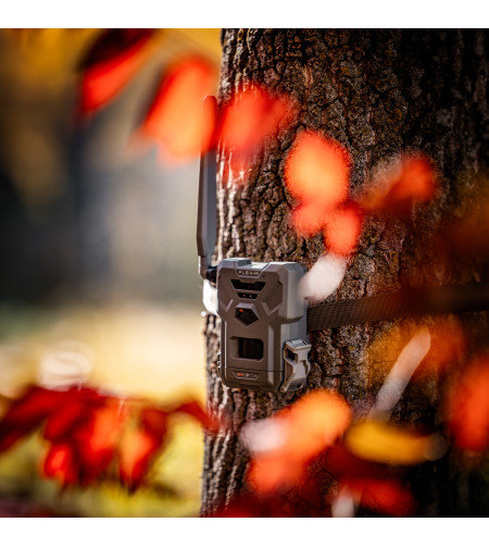 SPYPOINT FLEX-M TRAIL CAMERA