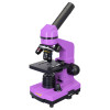 Microscope with Experimental Kit K50 2L Levenhuk Rainbow 40x - 400x Amethyst