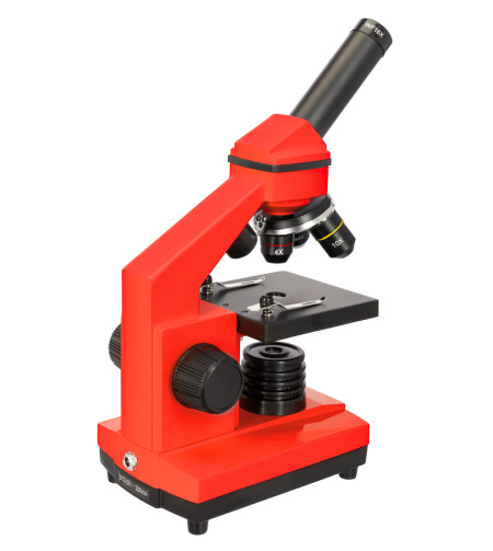 Microscope Levenhuk Rainbow 2L PLUS Orange 64x - 640x with experiment kit K50