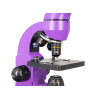 Microscope Levenhuk Rainbow 50L PLUS Amethyst 64x–1280x with experimental kit K50