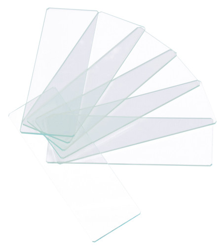 Levenhuk G50 1H Single Cavity Blank Slides, 50 pcs