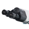 Levenhuk 900B Binocular Microscope