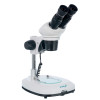 Levenhuk 4ST Binocular Microscope