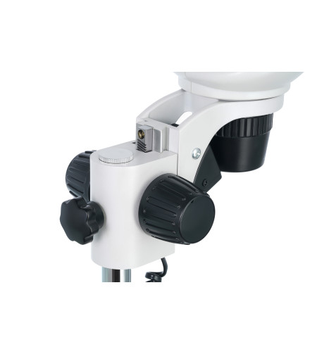 Levenhuk 4ST Binocular Microscope