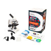 Microscope Discovery Femto Polar with book