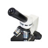 Microscope Discovery Femto Polar with book