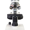 Microscope Discovery Femto Polar with book