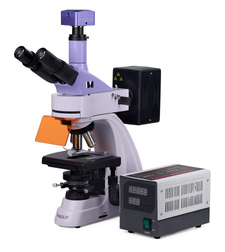 MAGUS Lum D400 Fluorescence Digital Microscope