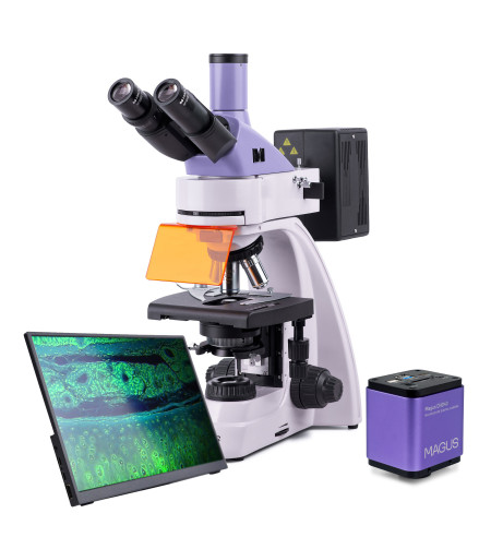 MAGUS Lum D400 LCD Fluorescence Digital Microscope