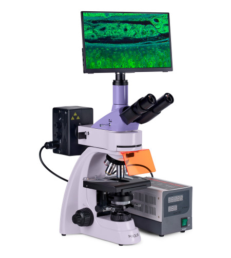 MAGUS Lum D400 LCD Fluorescence Digital Microscope