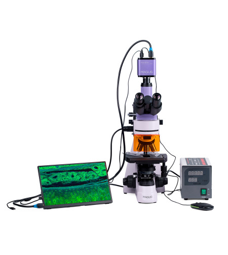 MAGUS Lum D400 LCD Fluorescence Digital Microscope