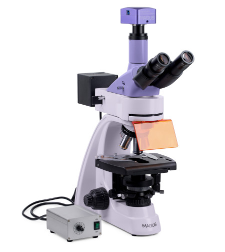 MAGUS Lum D400L Fluorescence Digital Microscope