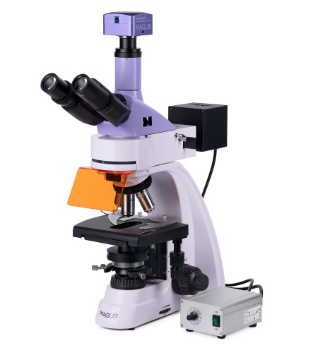 MAGUS Lum D400L Fluorescence Digital Microscope