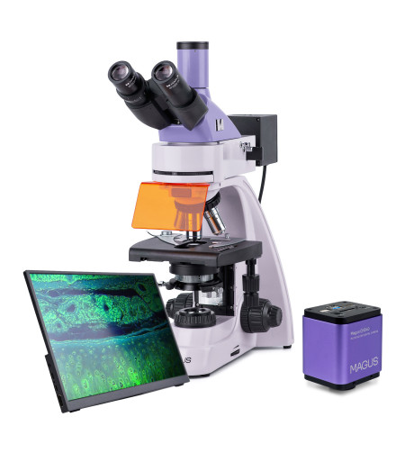 MAGUS Lum D400L LCD Fluorescence Digital Microscope