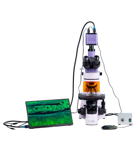 MAGUS Lum D400L LCD Fluorescence Digital Microscope