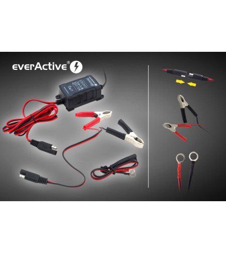 everActive CBC-1 car battery charger