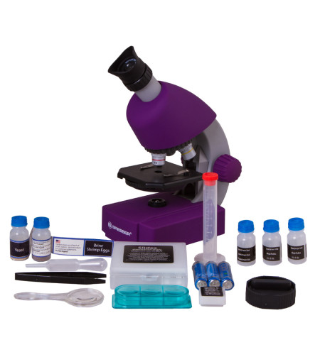 Microscope, Bresser Junior 40x-640x, violet with experiment kit, with phone adaptor