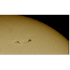 Explore Scientific Solarix Solar Filter Film A4