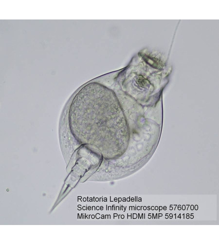 Microscope Bresser Science Infinity