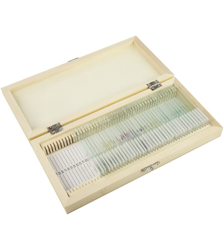 Prepared slide set, 40 slides in a wooden box, Omegon