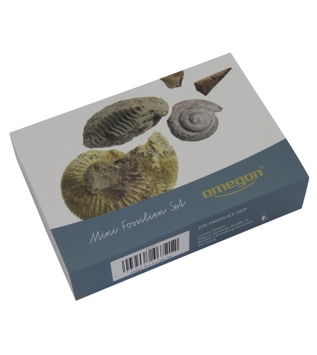 Fossil set, Omegon