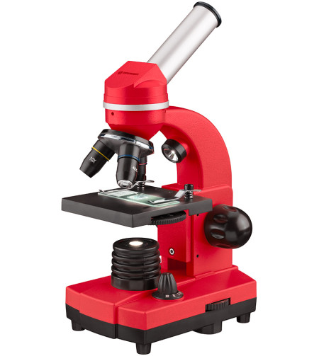 Microscope Bresser Junior Biolux SEL 40–1600x, red