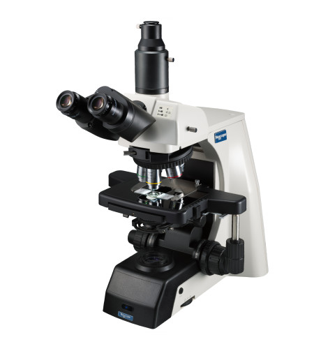 Professional laboratory microscope with excellent expandability, NE910, Nexcope