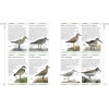 Complete Birds of Britain and Europe, Hume Rob