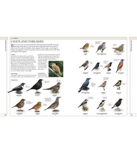 Complete Birds of Britain and Europe, Hume Rob