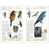 Birds of Britain and Europe: The Definitive Photographic Field Guide, HUME ROB