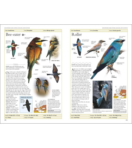 Birds of Britain and Europe: The Definitive Photographic Field Guide, HUME ROB