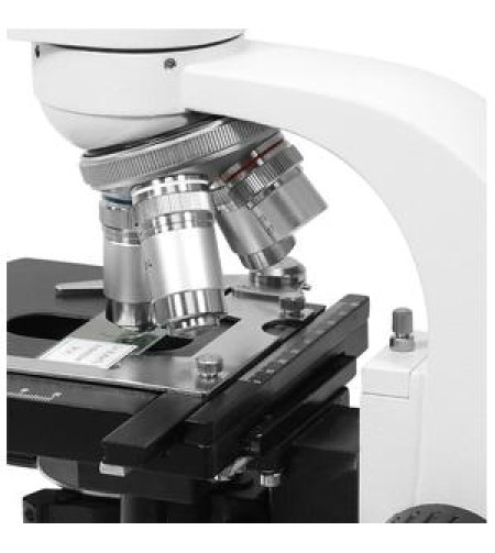 Microscope , Omegon BinoView, achromate, 1000x, LED