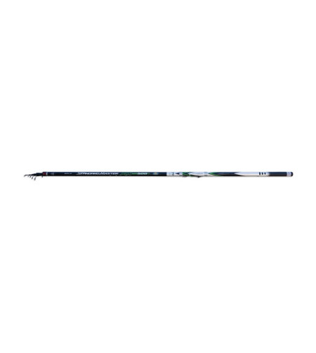 Fishing rod "Standard Master Bolo" (4m, 5-25gr)