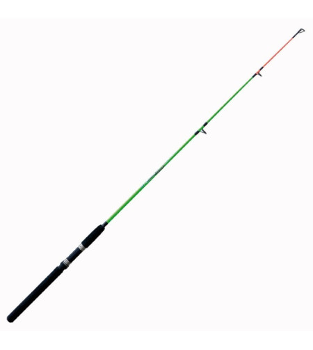 Fishing rod "Reptile Mono" (1.50m,100-200gr)