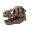 Dinosaur skull - Tyrannosaurus, Buki