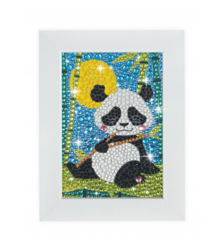 Blizgučiai – Panda, Buki