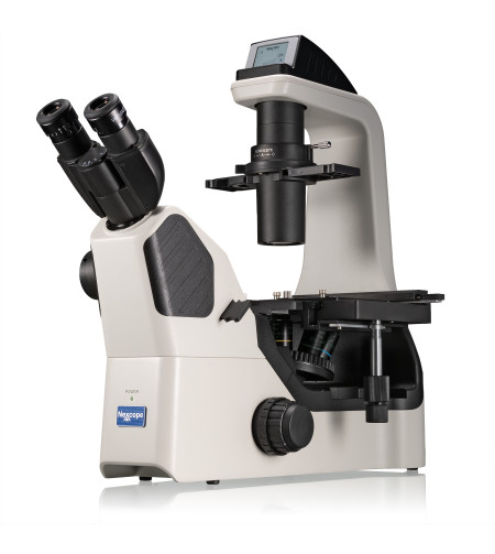 Microscope, Nexcope NIB620 professional, inverted laboratory with phase contrast