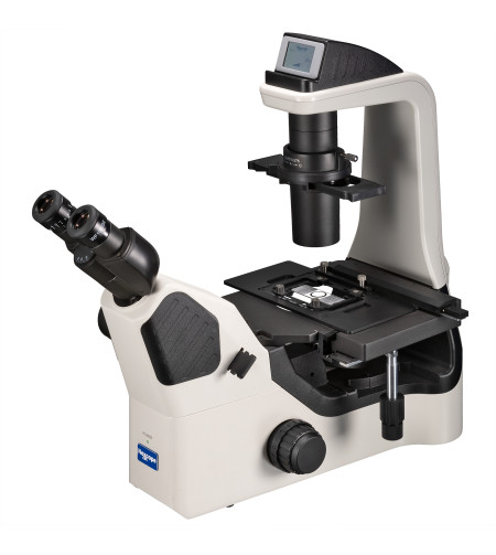 Microscope, Nexcope NIB620 professional, inverted laboratory with phase contrast