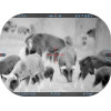 Тепловизионный прицел MARS 5 320 5-20X 12MICRON Smart HD ATN