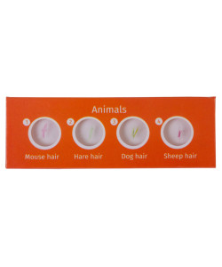 Paruoštas skaidrių rinkinys Levenhuk LabZZ CP24 Būtybės ir augalai