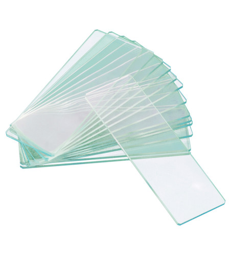 Levenhuk G50 2H Double Cavity Blank Slides, 50 pcs