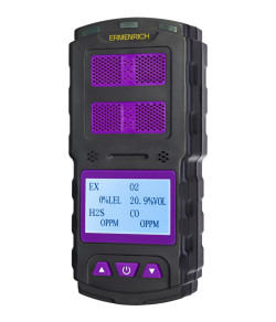 Ermenrich NG60 dujų detektorius