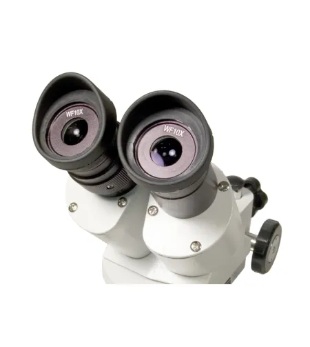 Levenhuk 3ST Microscope