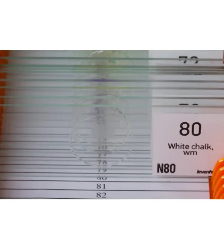 Levenhuk N80 NG "See it all" Slides Set