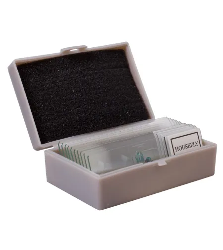 Набор для опытов Levenhuk K50