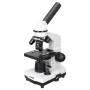 Microscope Levenhuk Rainbow 2L Moonstone 40x-400x with experiment kit K50