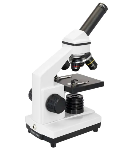 Mikroskoop Levenhuk Rainbow 2L PLUS Kuukivi 64x - 640x koos eksperimendi komplektiga K50