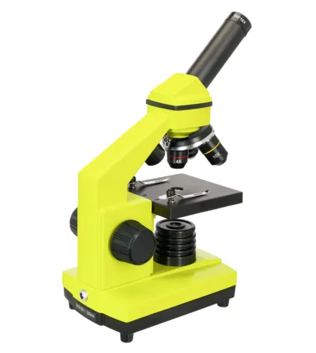 Microscope Levenhuk Rainbow 2L PLUS 64x - 640x Lime with experiment kit K50